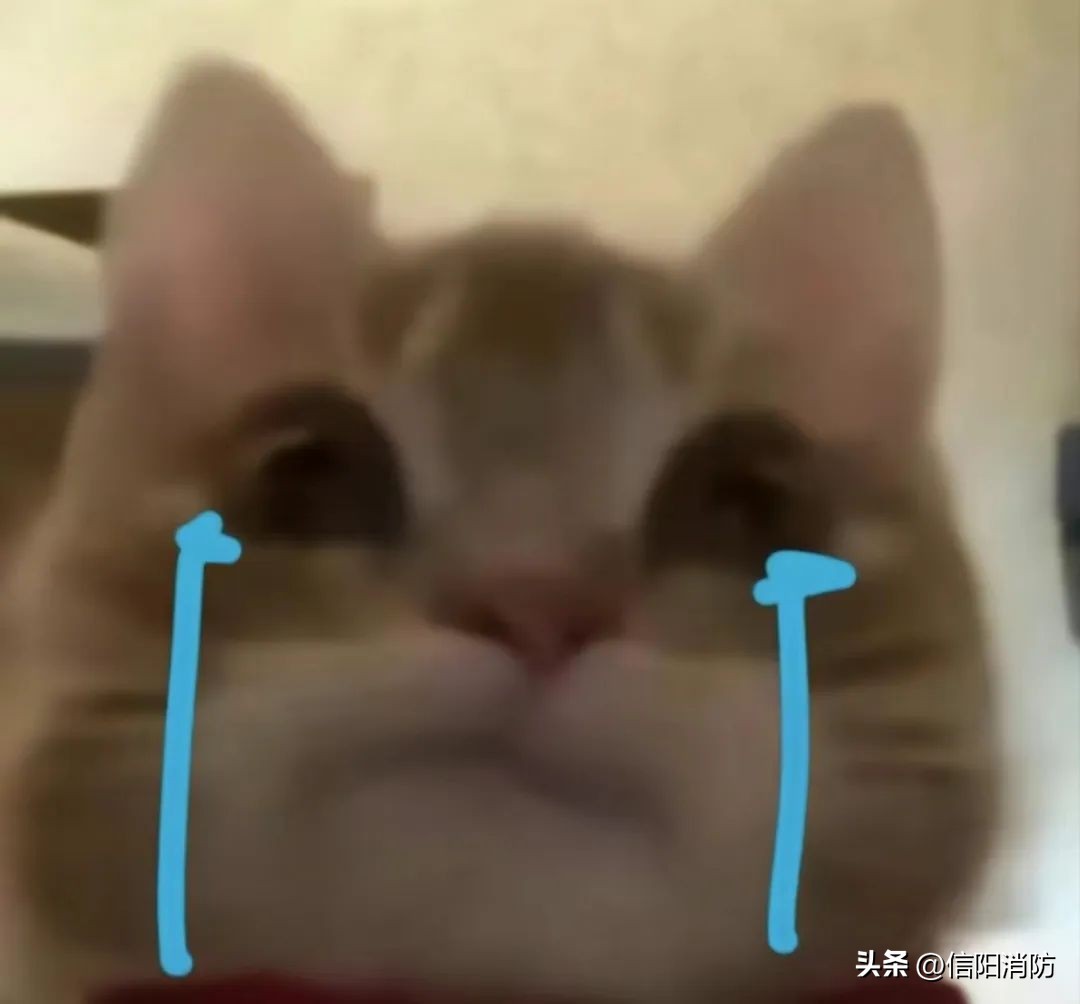 手机掉进粪坑里迅速捡起有影响吗,手机掉进粪坑里捞出来还能用吗