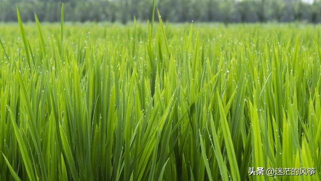 足球与生活感悟经典句子,人生感悟语录足球