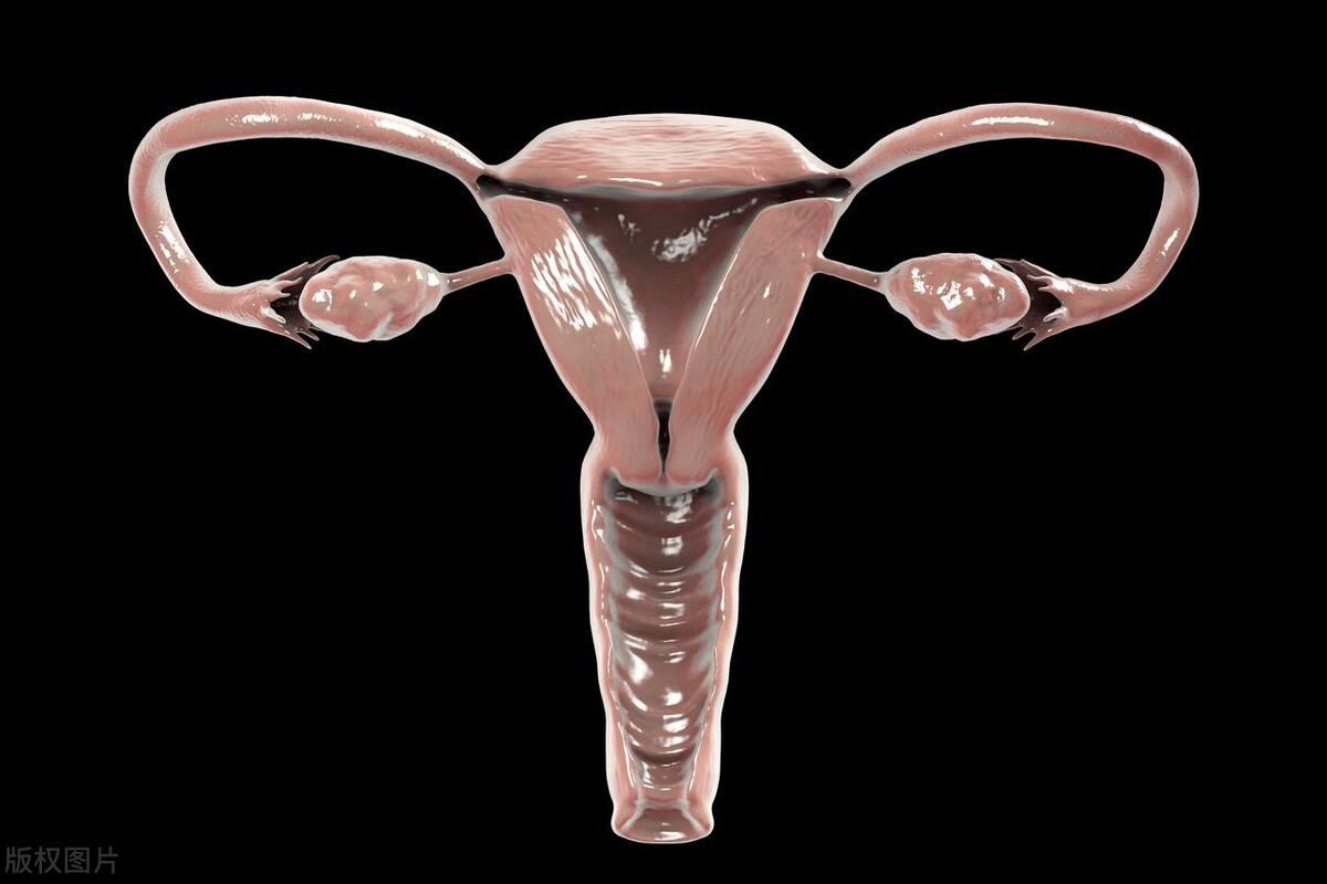 第一次夫妻生活一定会流血吗？处女膜到底有啥作用？科普解释来了