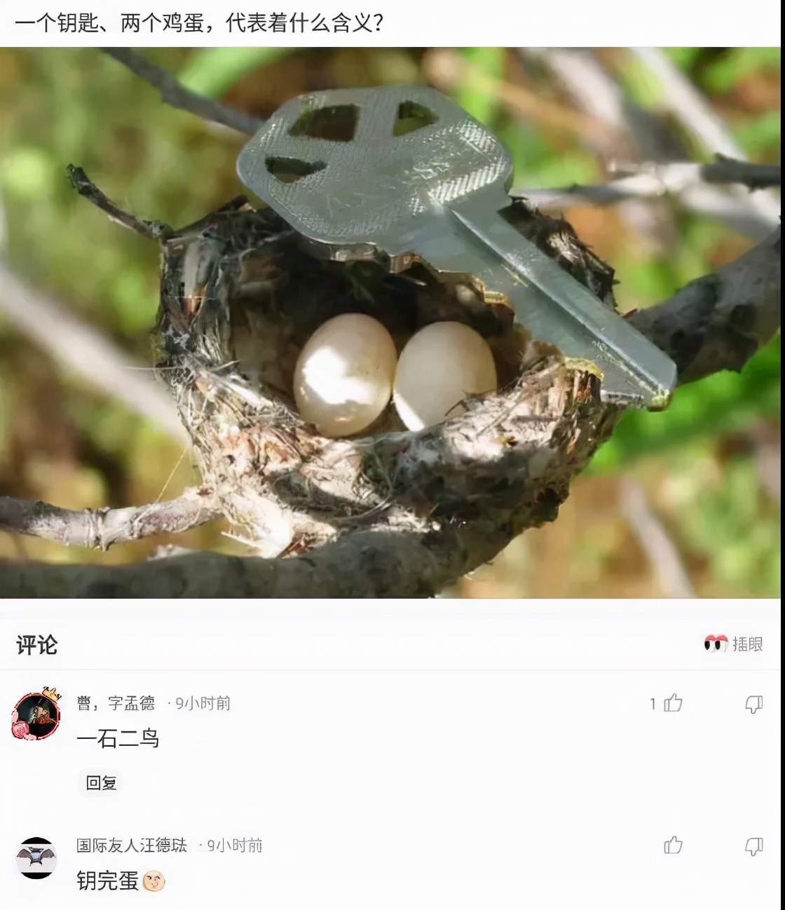 买了一个蚊帐先让室友试试,新买的蚊帐让室友先试试