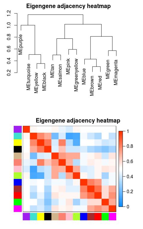 wgcna分析结果解读,wgcna分析与gsea分析区别