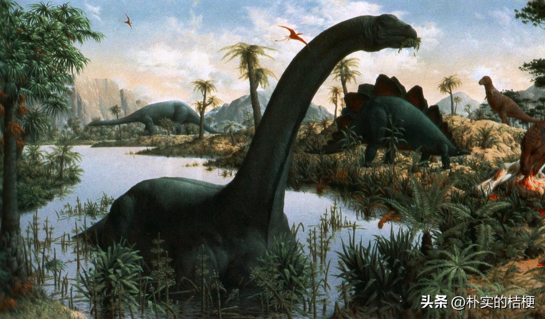 恐龙的错误复原,恐龙犯下的错误