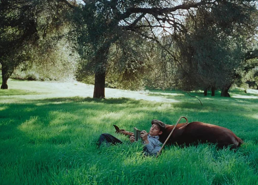 让你深度思考的十部经典励志电影,10部让你感悟人生的鸡汤电影