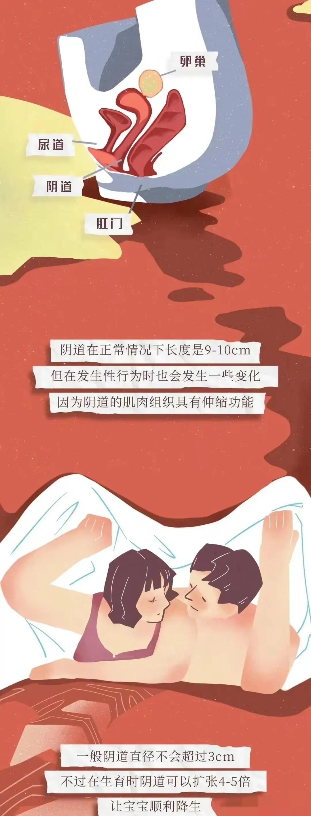 女生“阴道”的小秘密，不懂可不要乱猜（漫画）