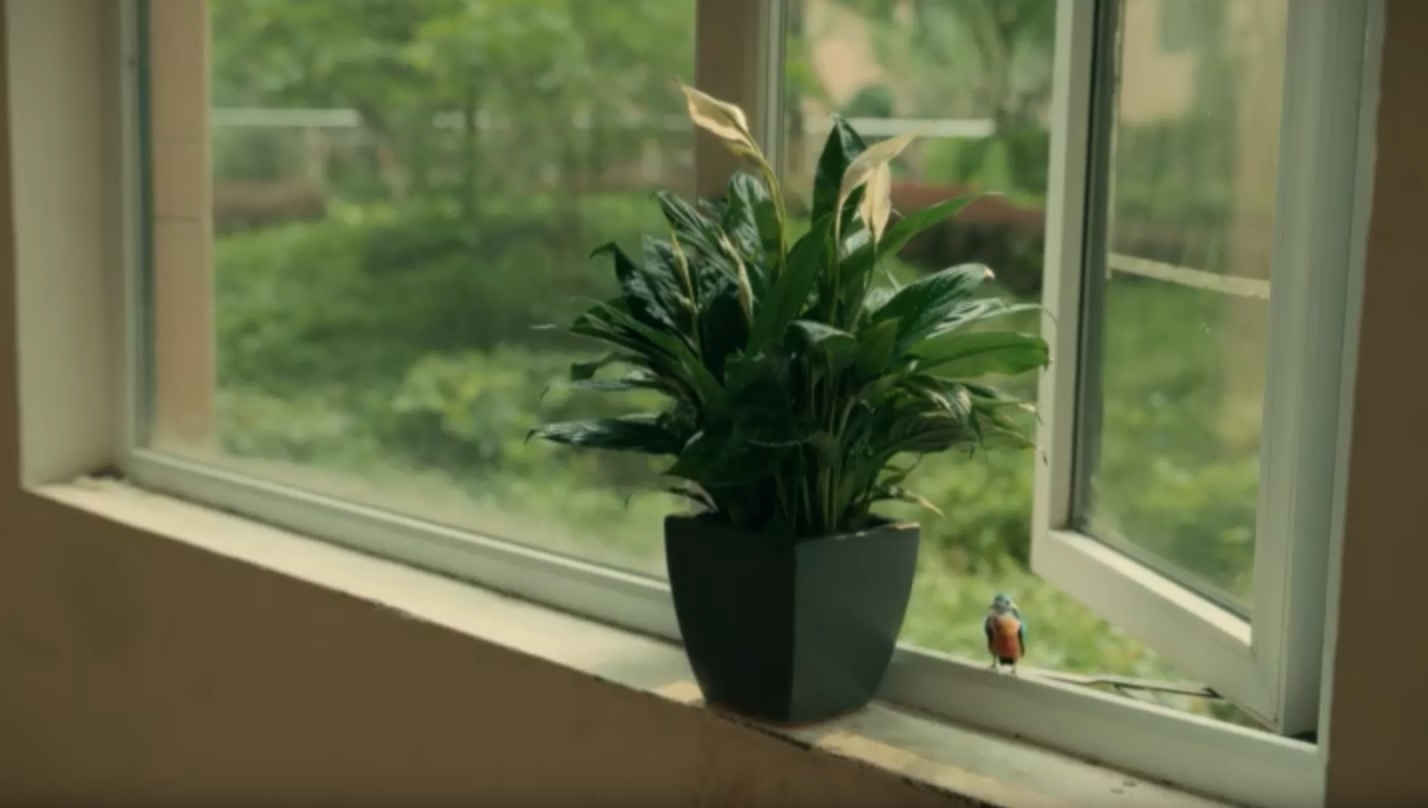 亲爱的小孩谢天华第几集出现,亲爱的小孩禾禾和谢天华