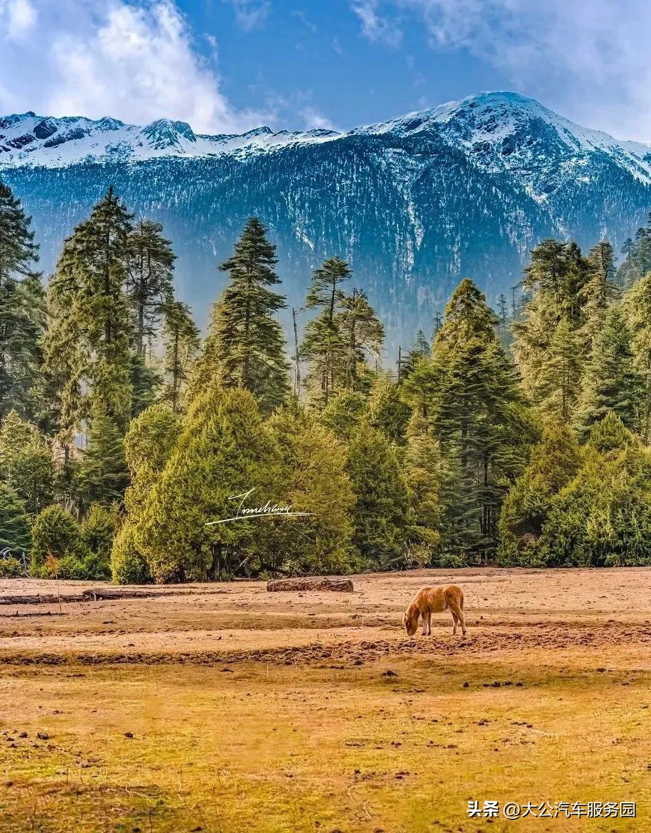 中国人间仙境惊艳世界,最值得打卡的五个绝美仙境