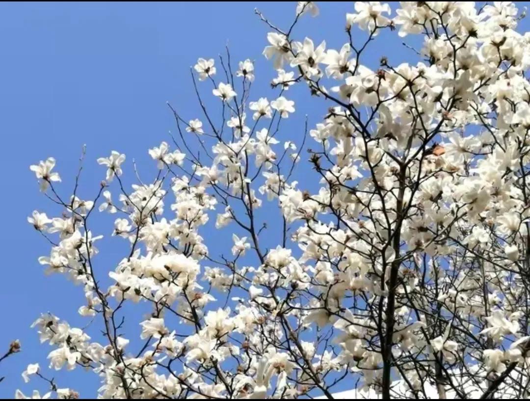 投资与资本运作,投资和做实业