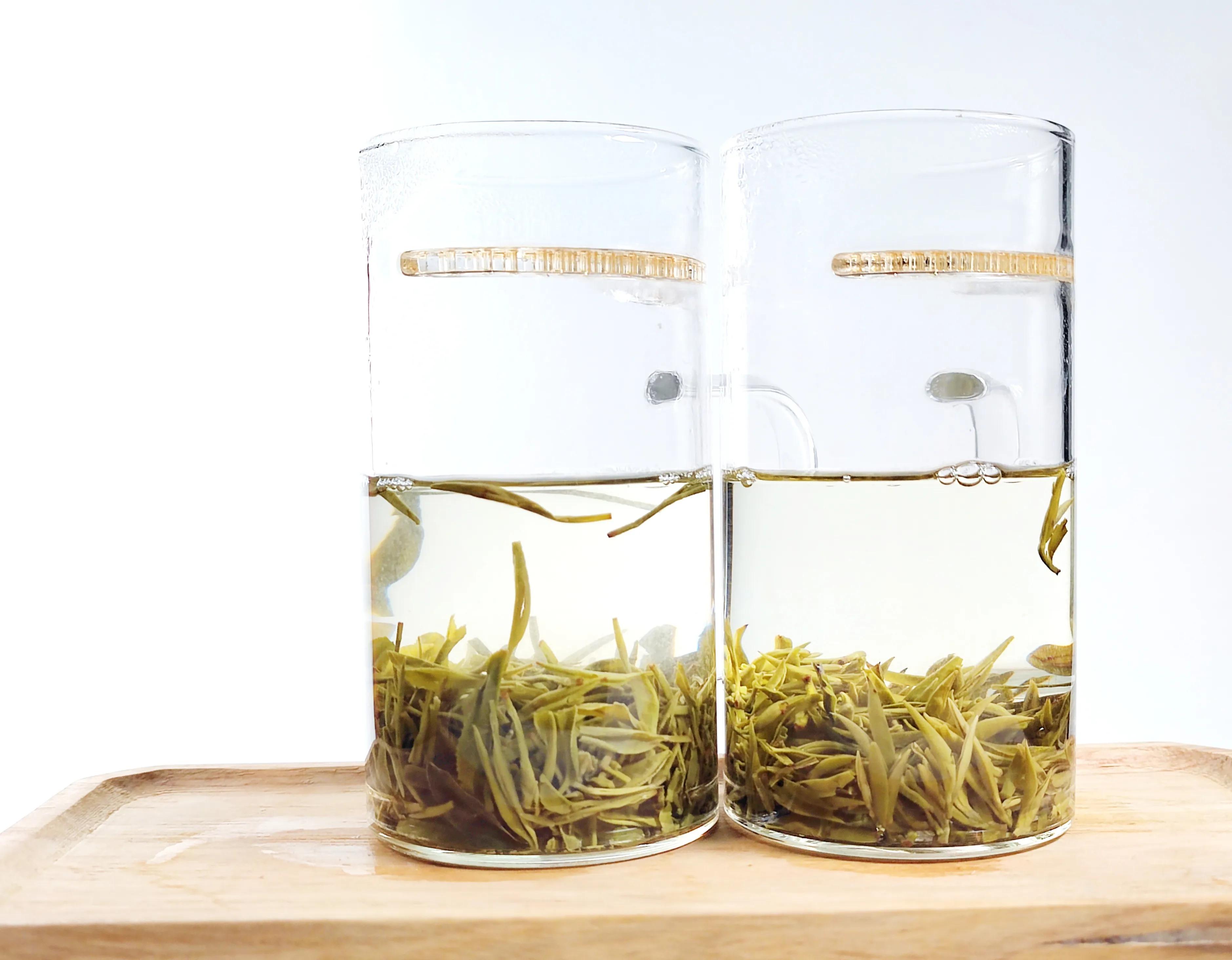 信阳毛尖茶和川茶,川茶和信阳毛尖的区别