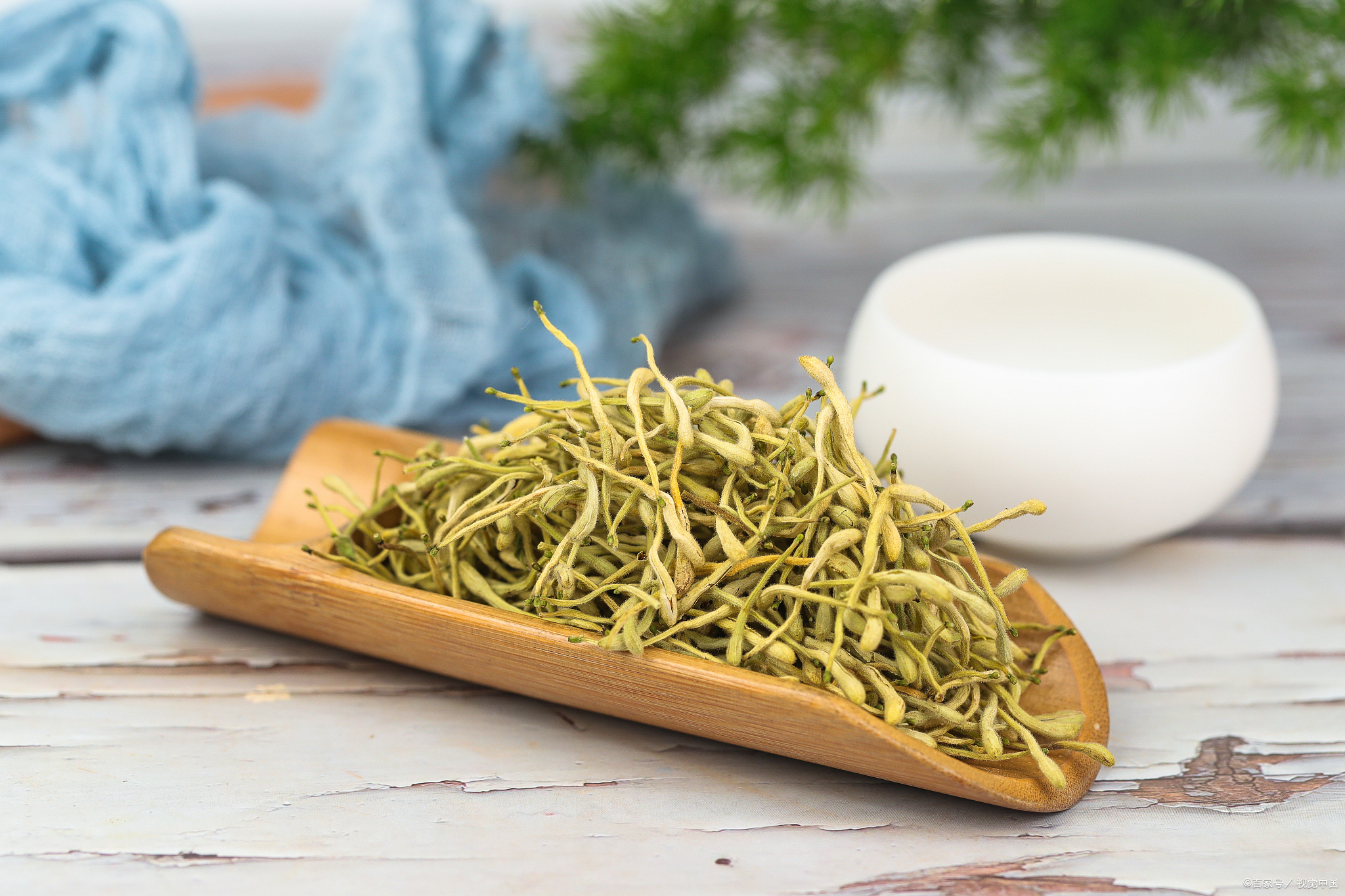 农村种植什么药材收益比较高,种植什么药材时间短收益快