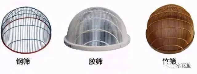 筛鱼神器小筛,4厘米宽的鱼筛可以筛多大的鱼