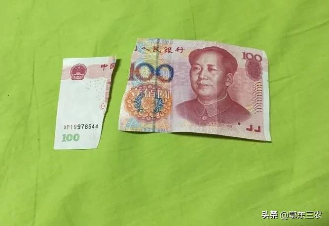 老人故意损坏人民币,老人损坏他人财产怎么处理