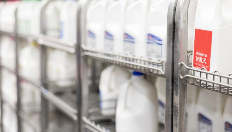 加拿大特鲁多最新消息今天,特鲁多谈加拿大