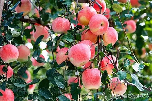 行善积德福报现世,行善积德必有福报