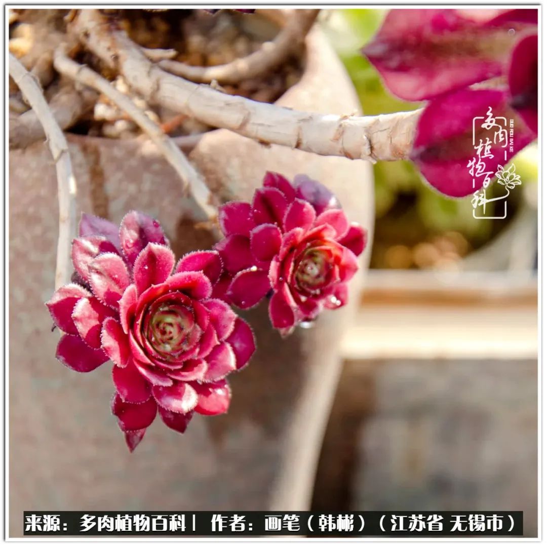 每个人的身旁都要有太阳,每个人都有一颗太阳