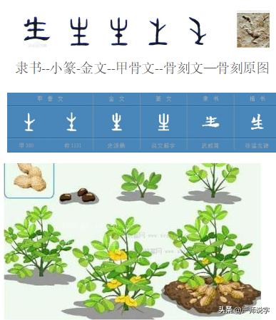 汉字偏旁部首大全及名称表word,汉字常用偏旁部首大全