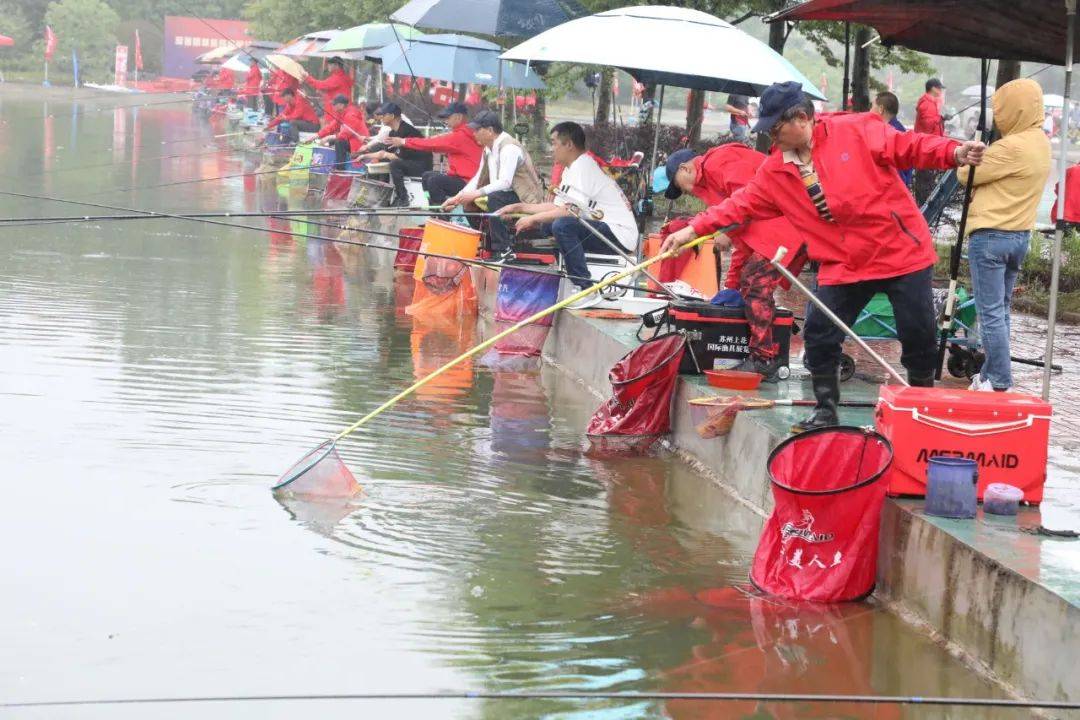 朱巧林夜钓争霸赛视频,第四届和善园杯星钓联赛总决赛