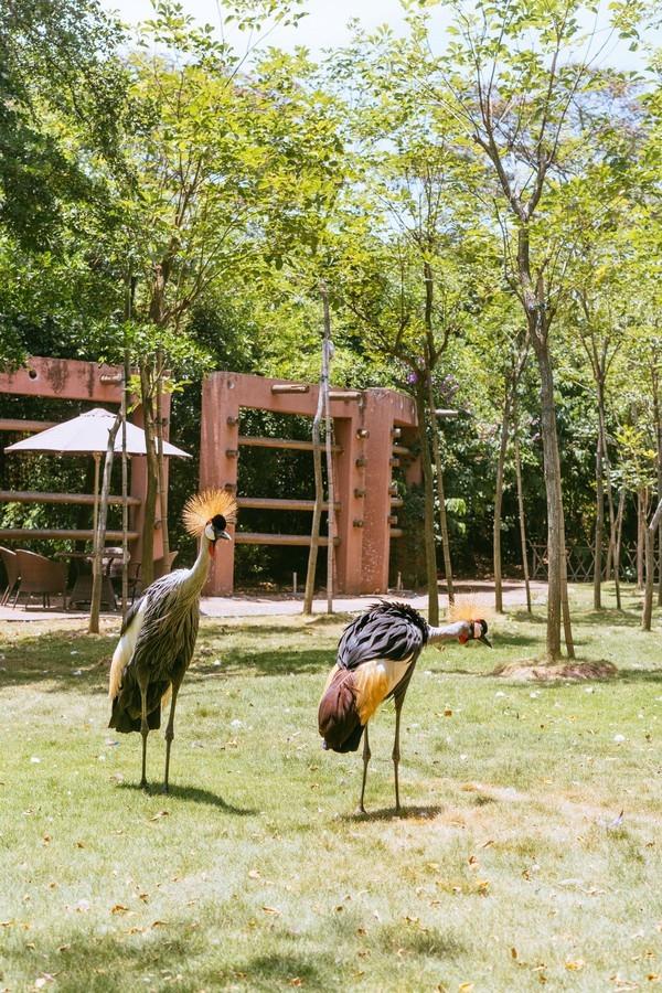 湾区光影魅力,南沙湾区超美风景线