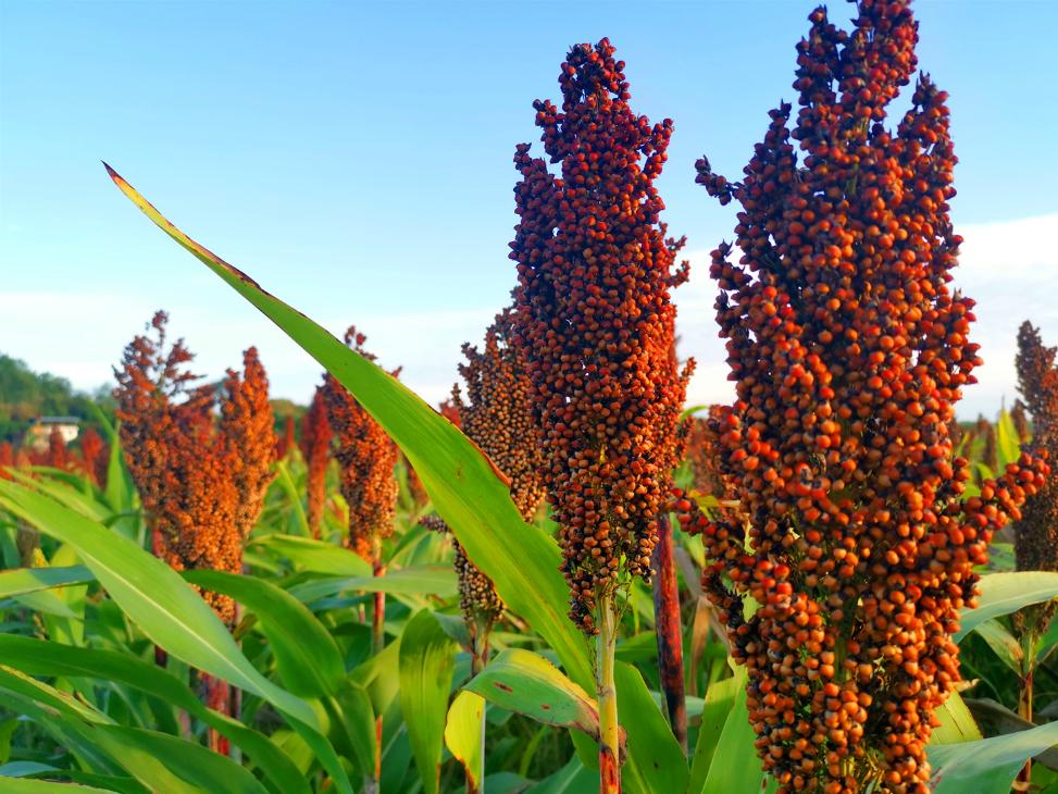 实体店买的酒怎么比网上贵好多,同一款酒不同商超价格不一样