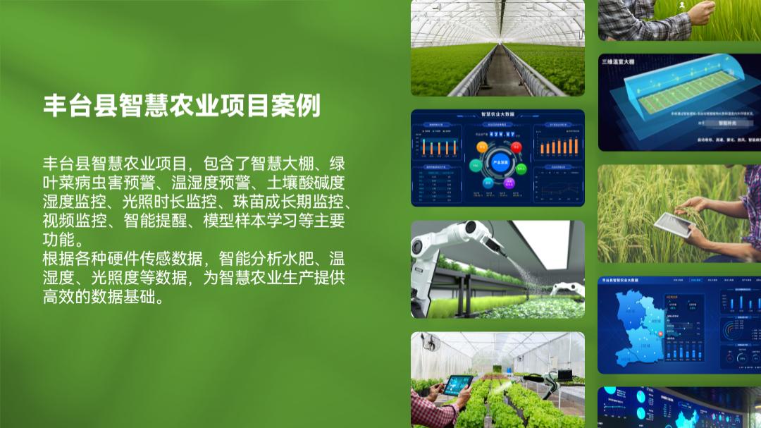 图片在ppt里摆放美观,ppt两个图标怎么摆放好看