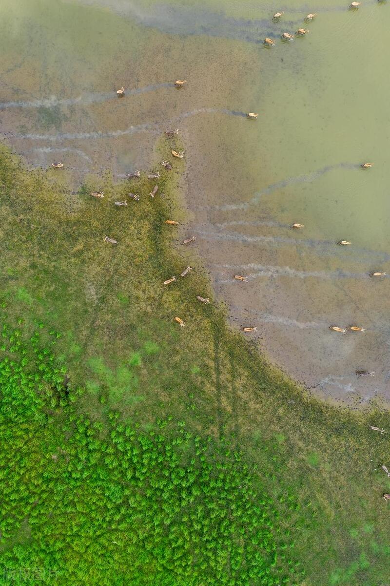 江苏唯一有山的城市,中国海拔最高的风景区