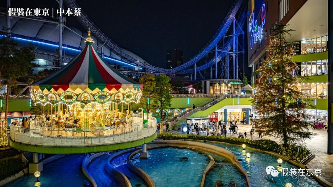 365张照片回顾,365张相片