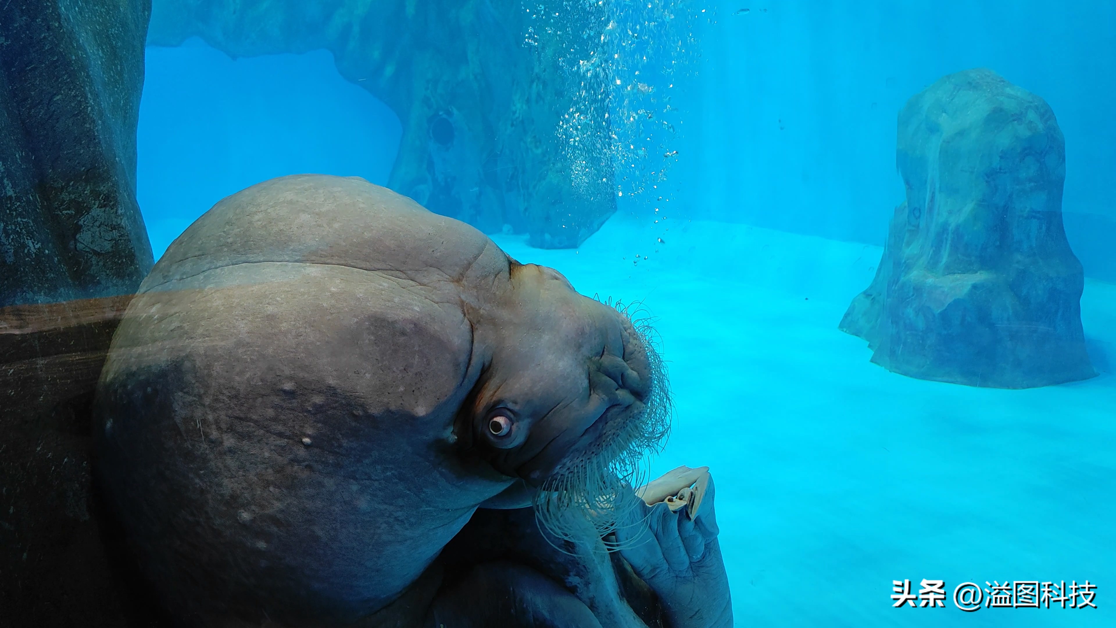 小米13Ultra影像功能深度介绍,实战篇