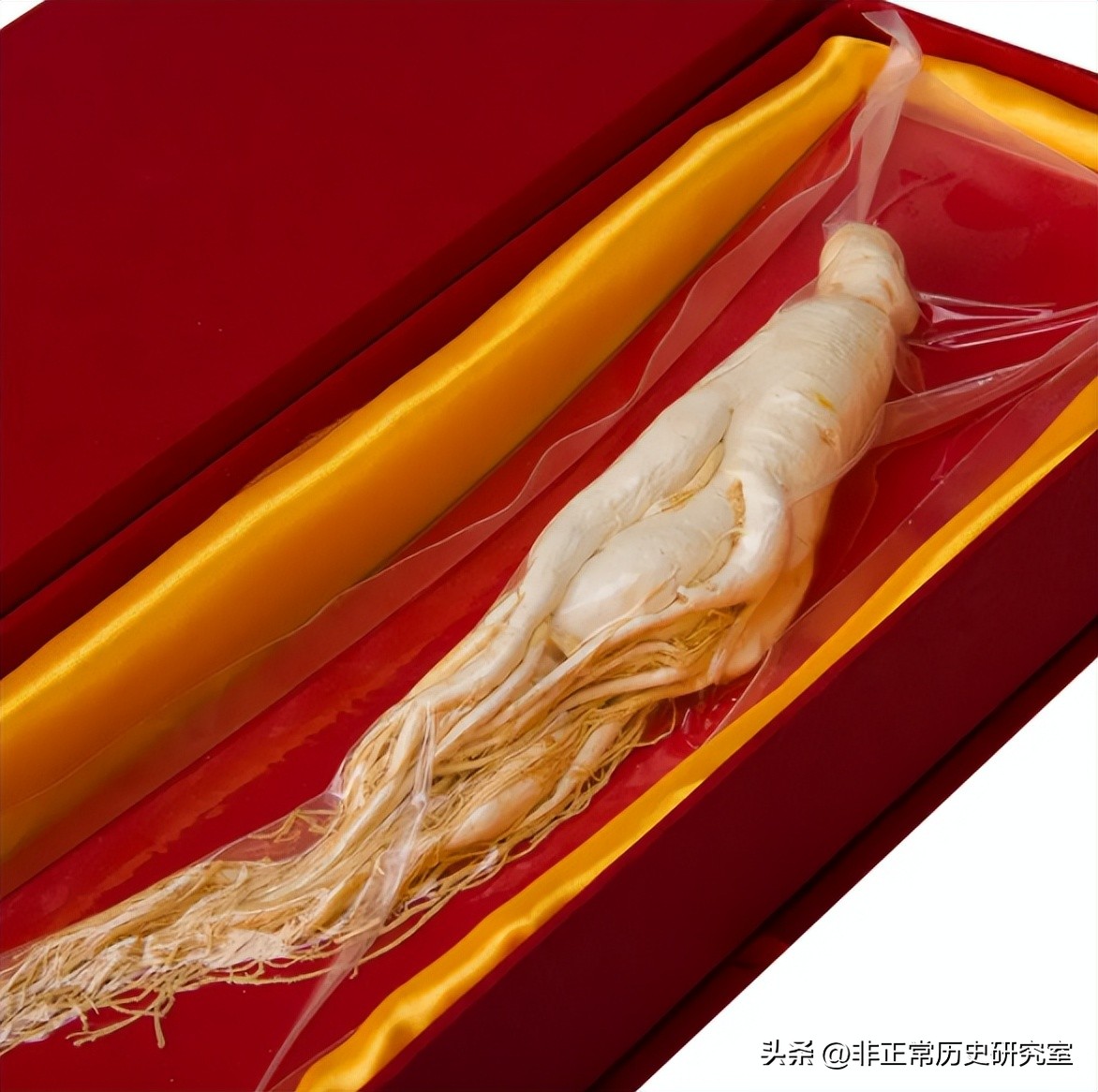 1718年法国一艘货船和清朝贸易，彻底改变了中国用人参的历史