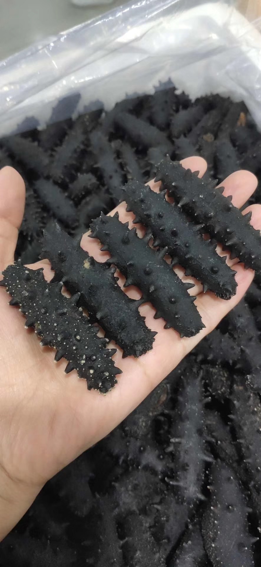 海参价格大概多少钱一斤最合适,海参价格一斤多少头最好