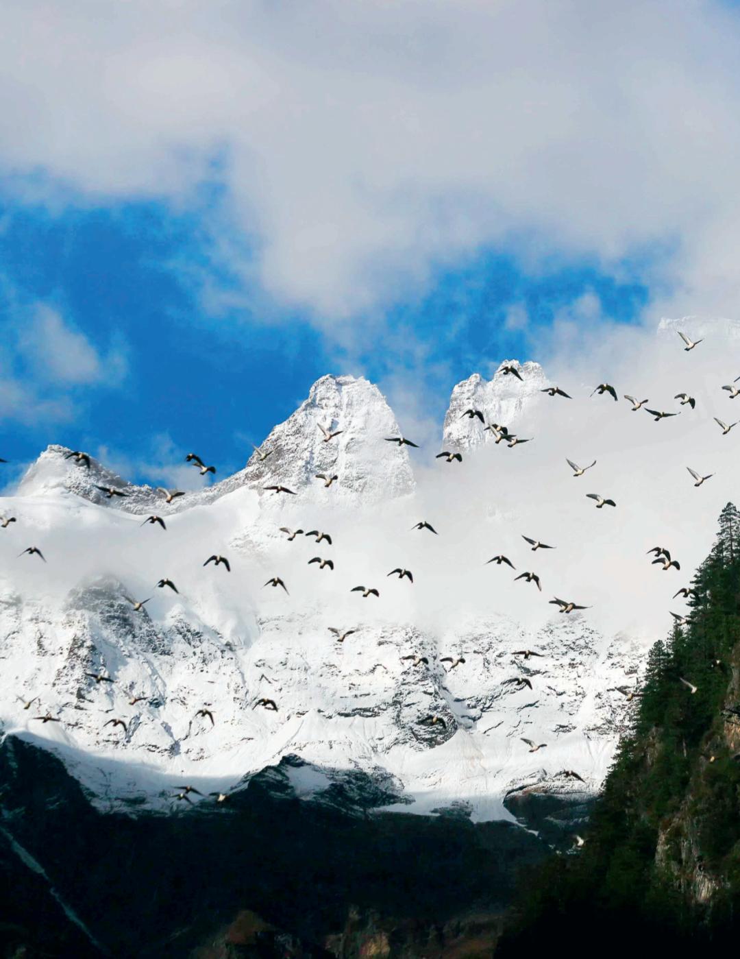 香格里拉冰雪世界,冬天的香格里拉最美景点