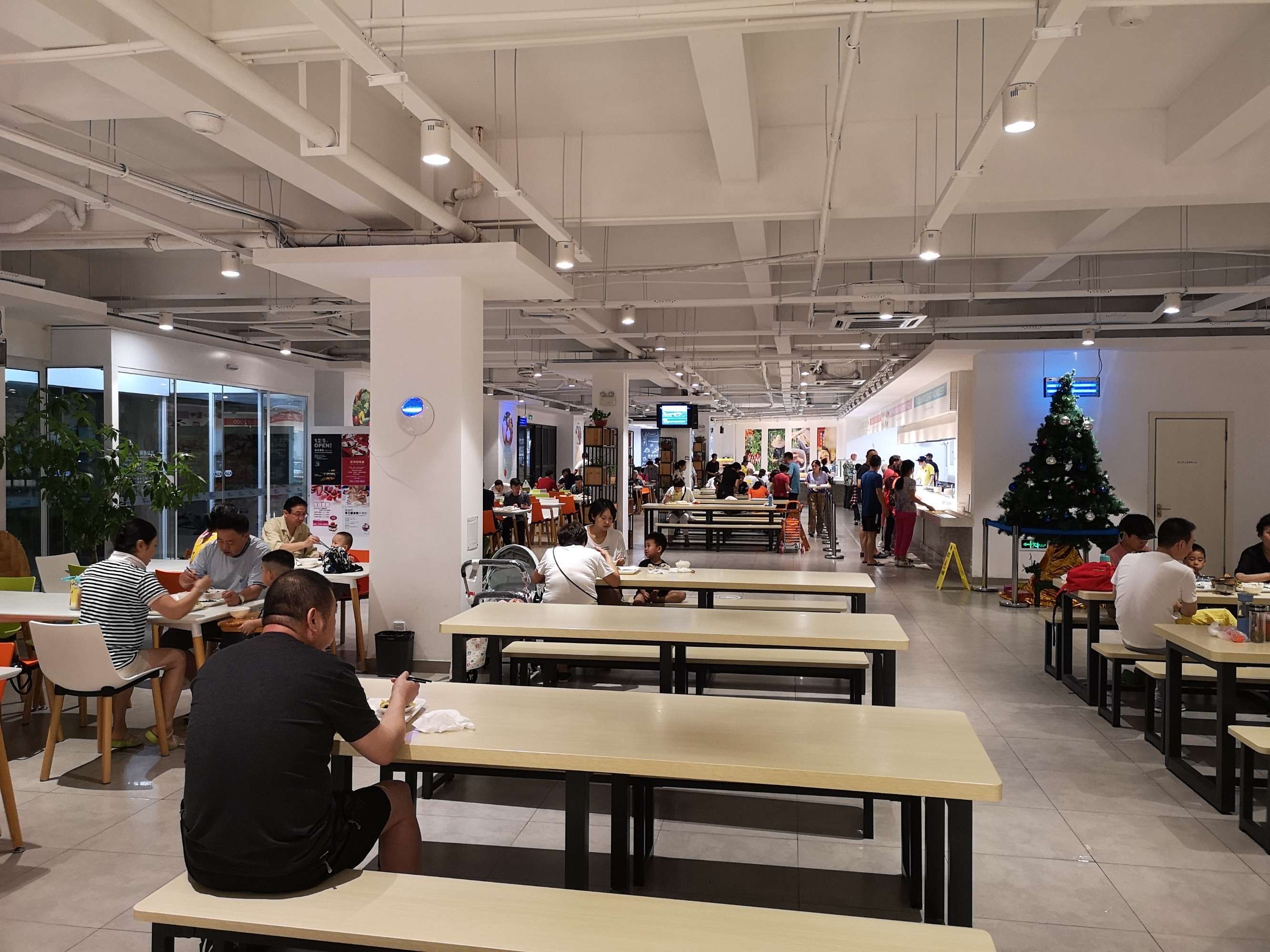 圆梦之园一一我的波波利海岸,下篇