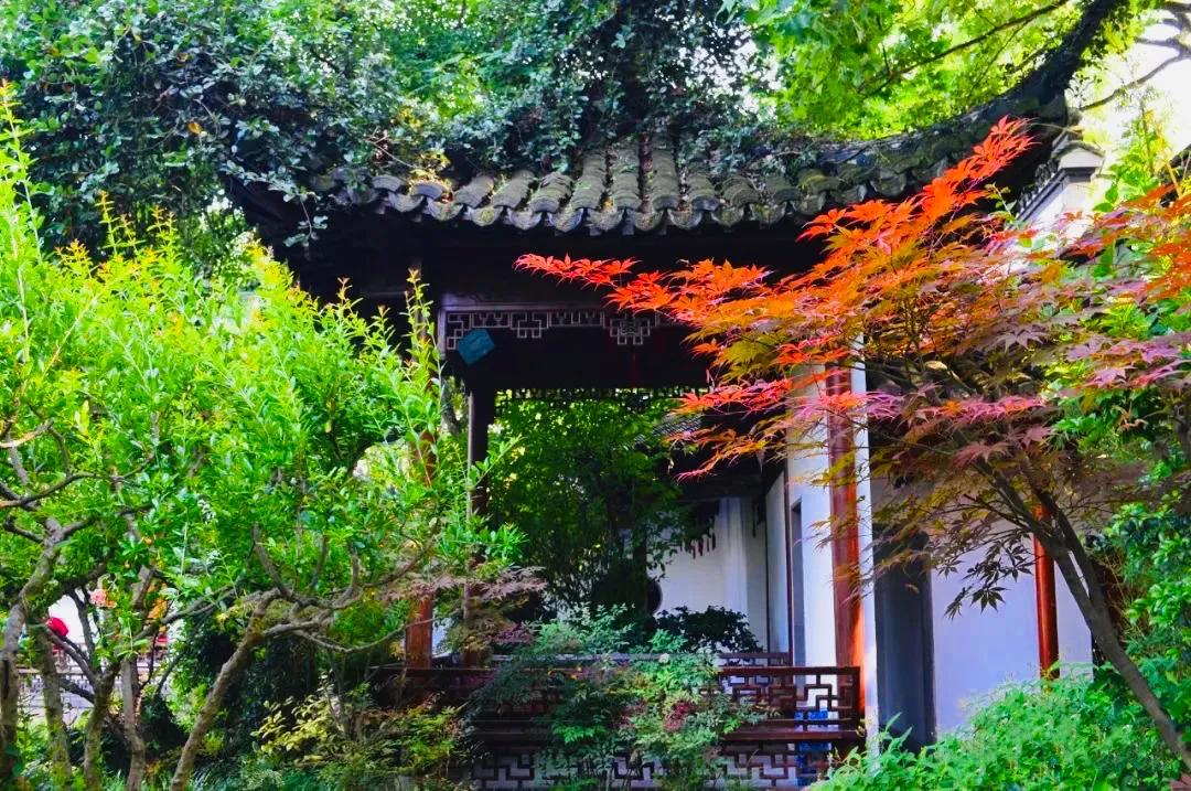 閮簞鍒樺簞,钂嬪簞鍒樺簞