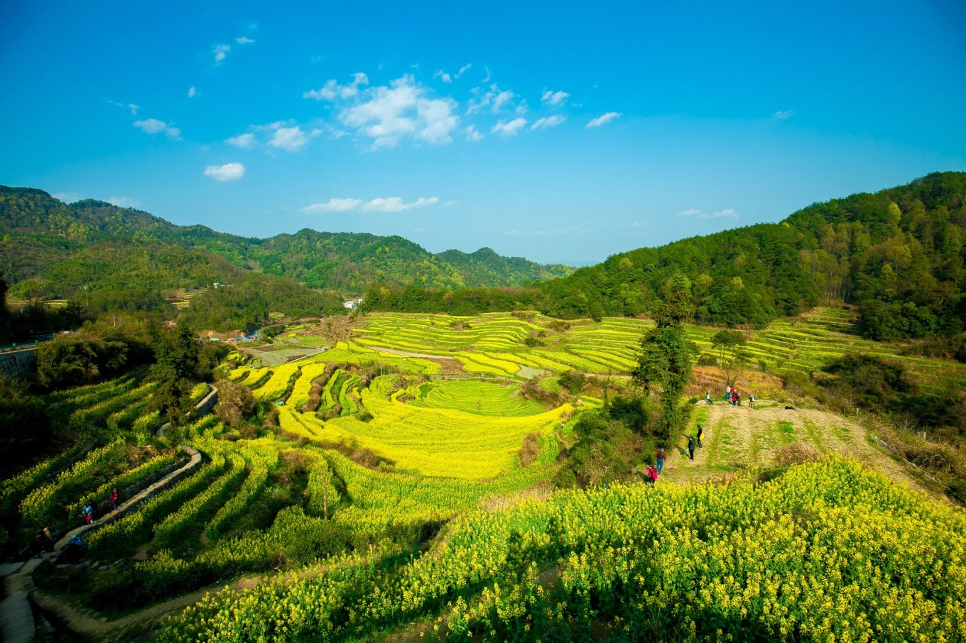 高铁到黄山北后有哪些景点,黄山北站到黄山风景区旅游攻略