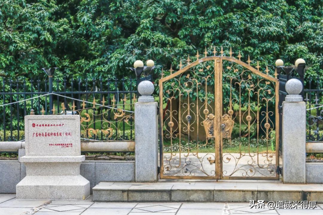 增城有什么自然风光和特产,增城著名的特色文化有哪些