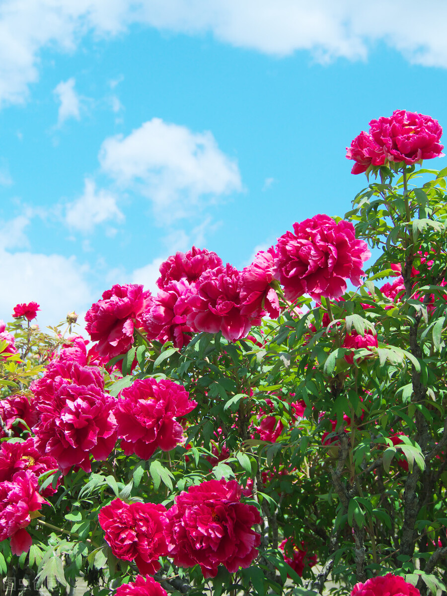 让自己更幸福的15个小方法