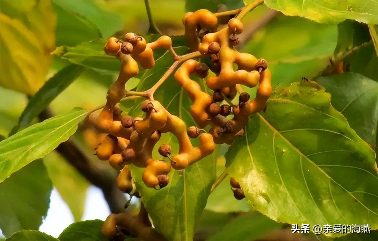 8090怀旧经典零食你都吃过哪些,中国最怀旧的58种经典零食