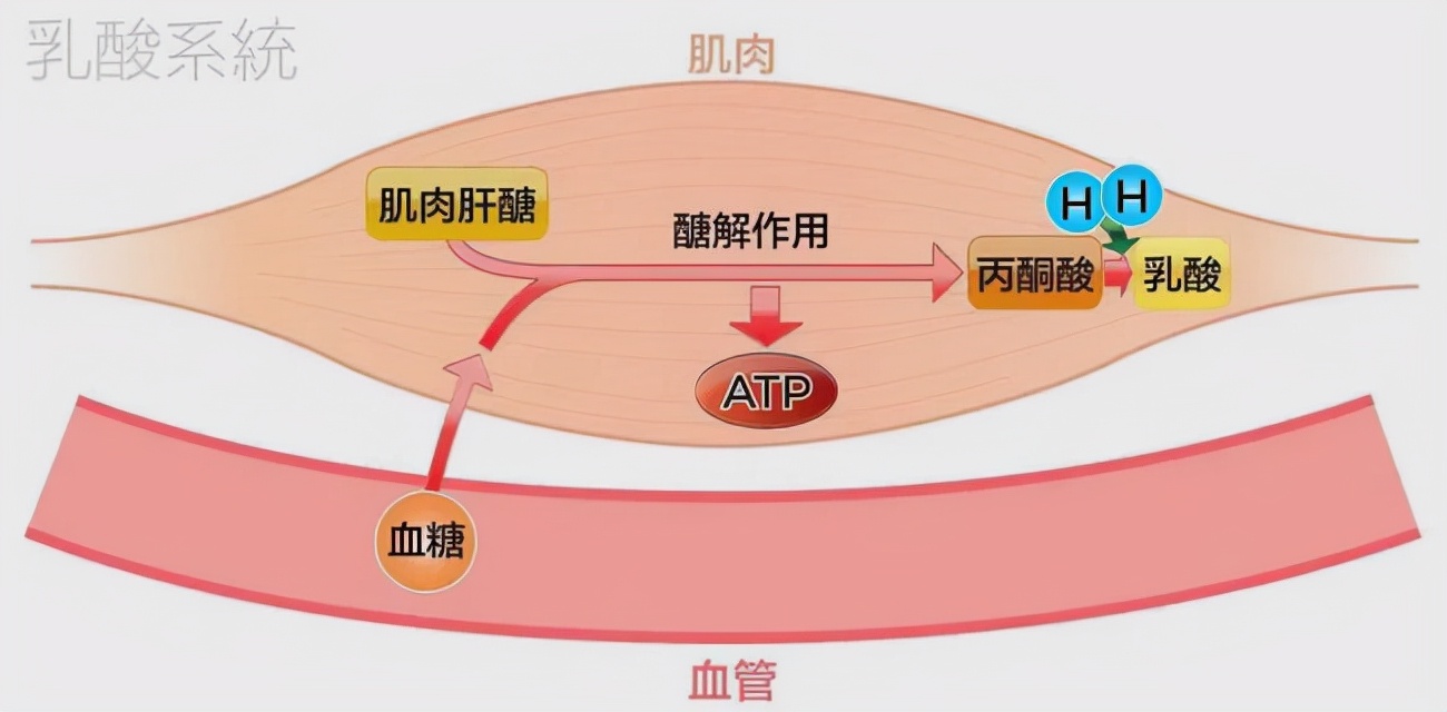 一个晚上缓解肌肉酸痛的妙招,劳作后肌肉酸痛如何缓解