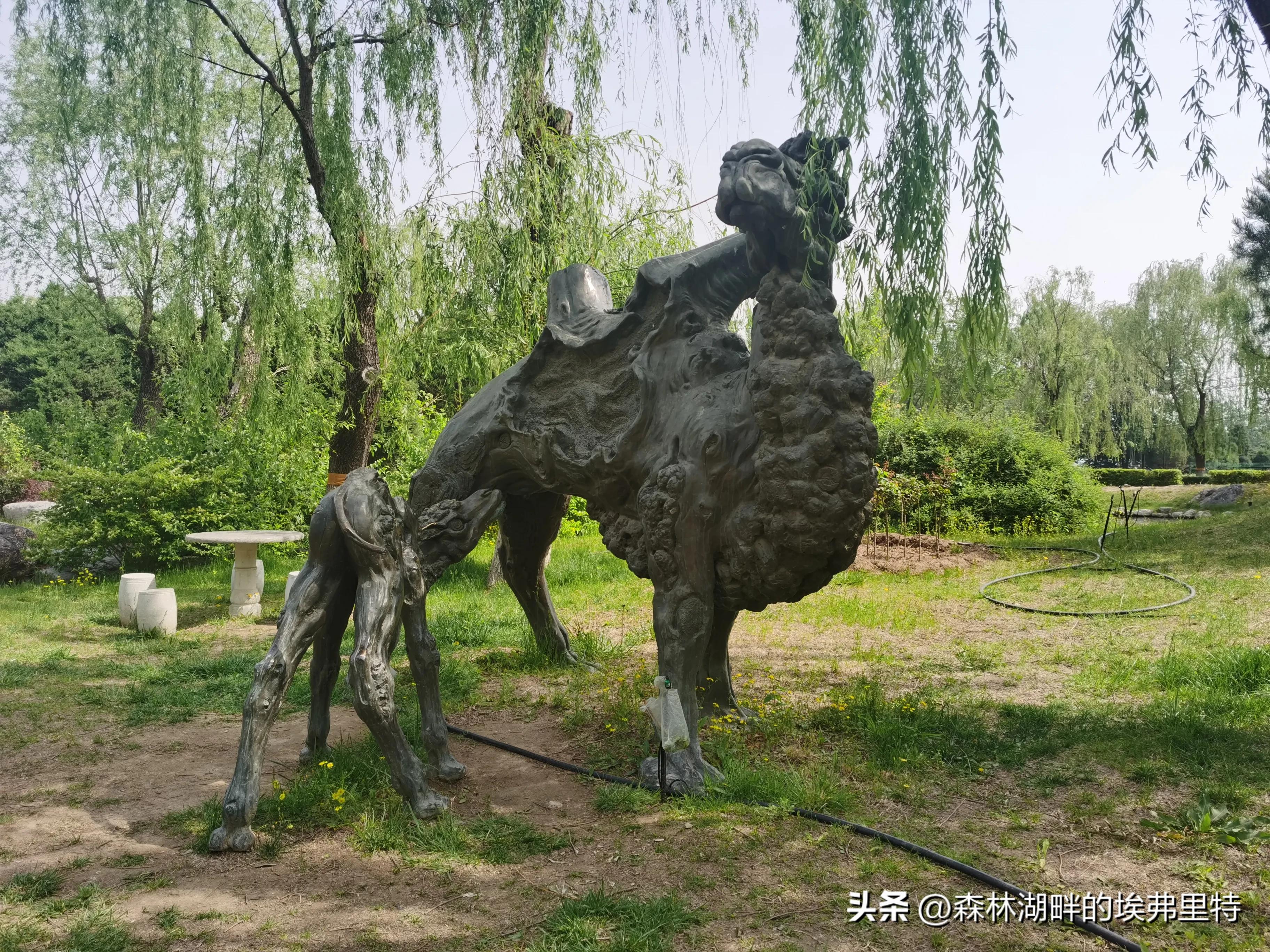 蟹岛度假村火灾,蟹岛度假村视频