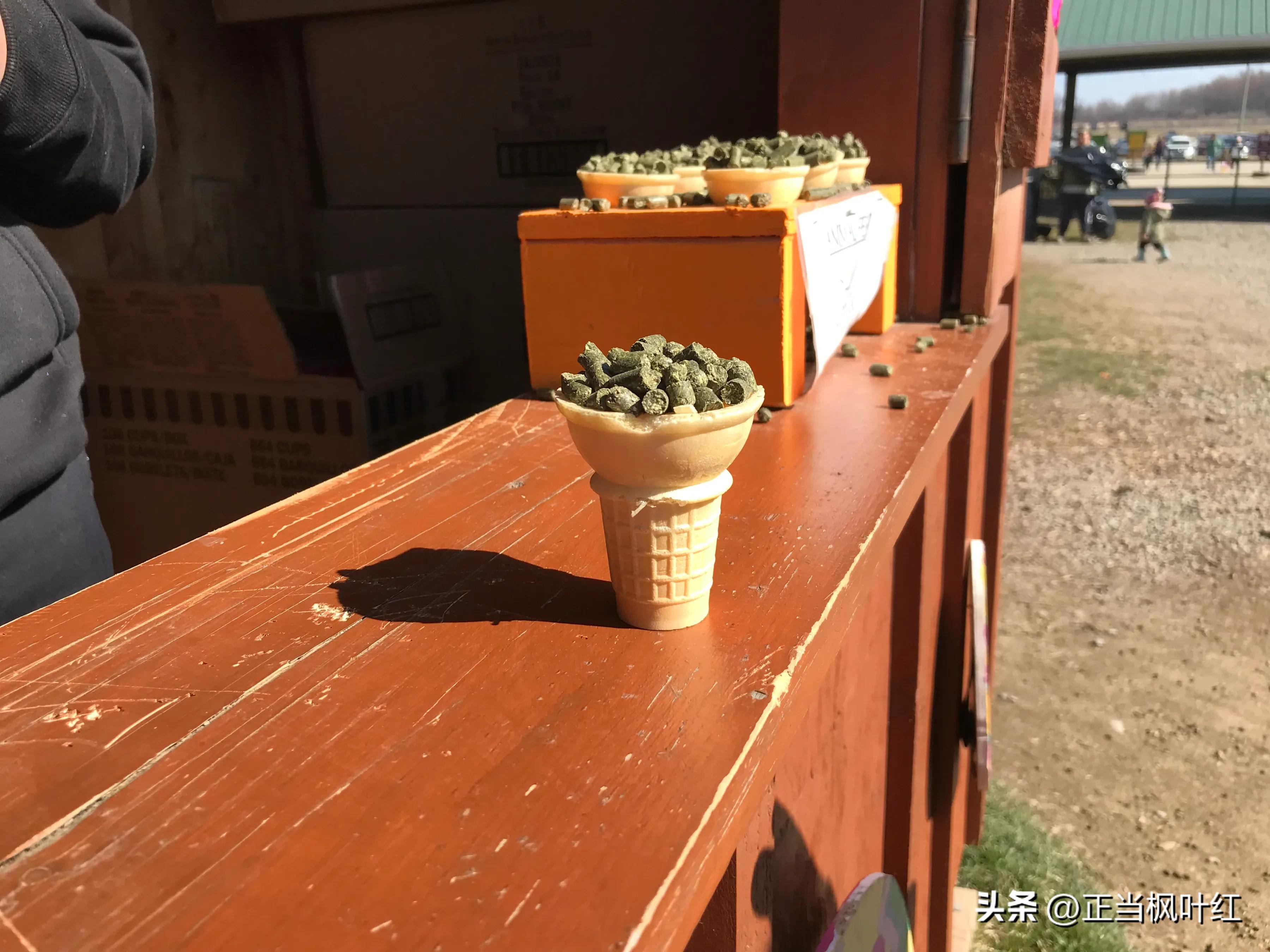 中国姥姥回国,中国姥姥真实一天视频