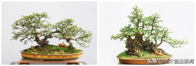 「艺术前沿」胡庆魁的木石人生