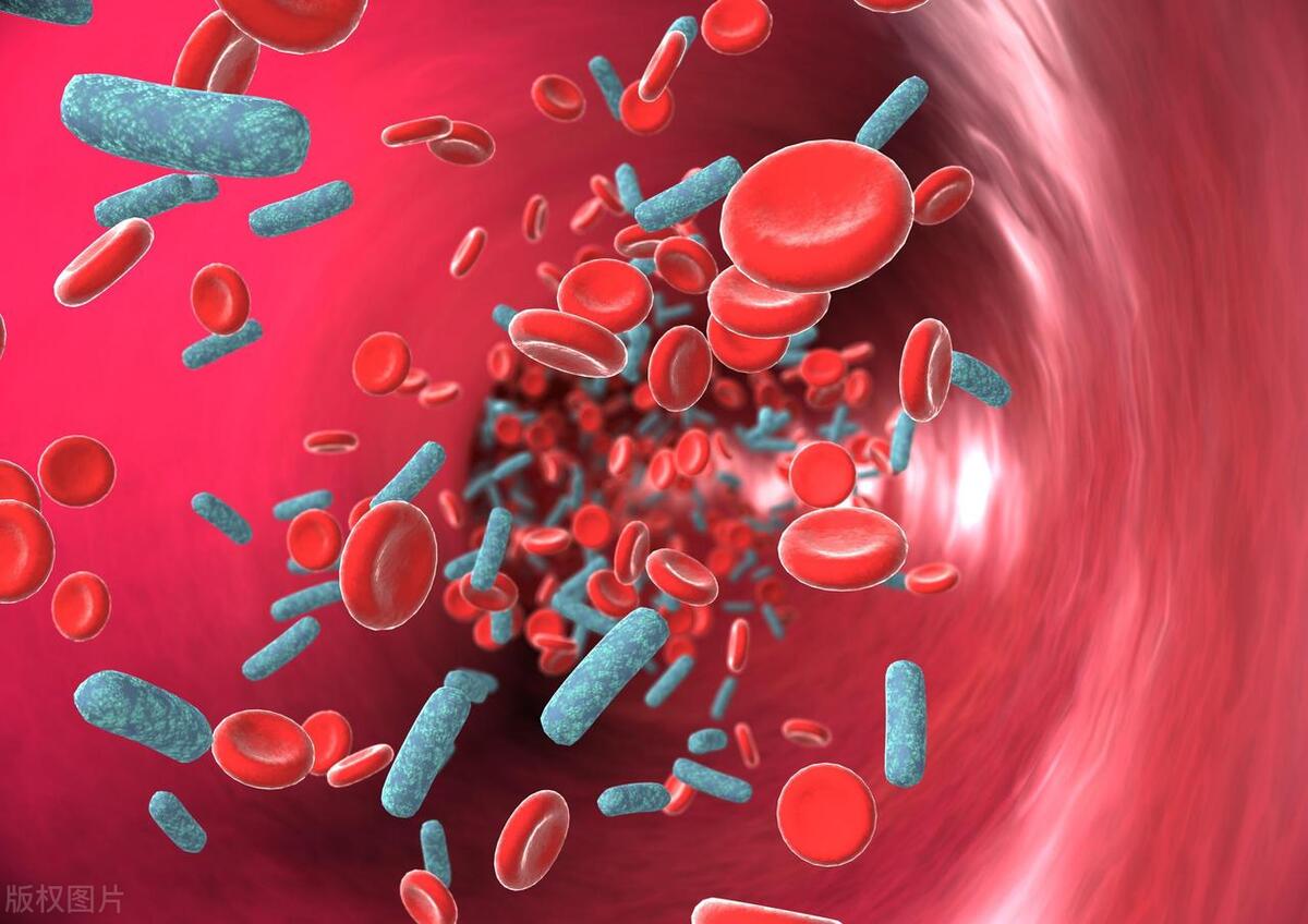 吵完架情绪激动后怎么缓解,吵架导致心梗发作特点