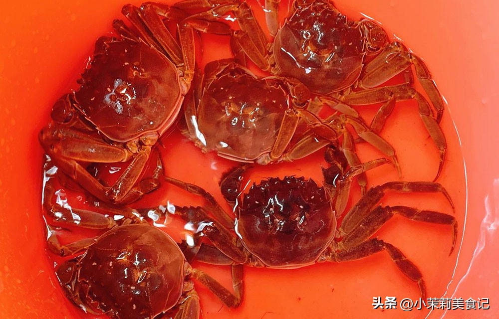 怎么保存螃蟹放冰箱,螃蟹蒸完放冰箱冷冻可以保存几天