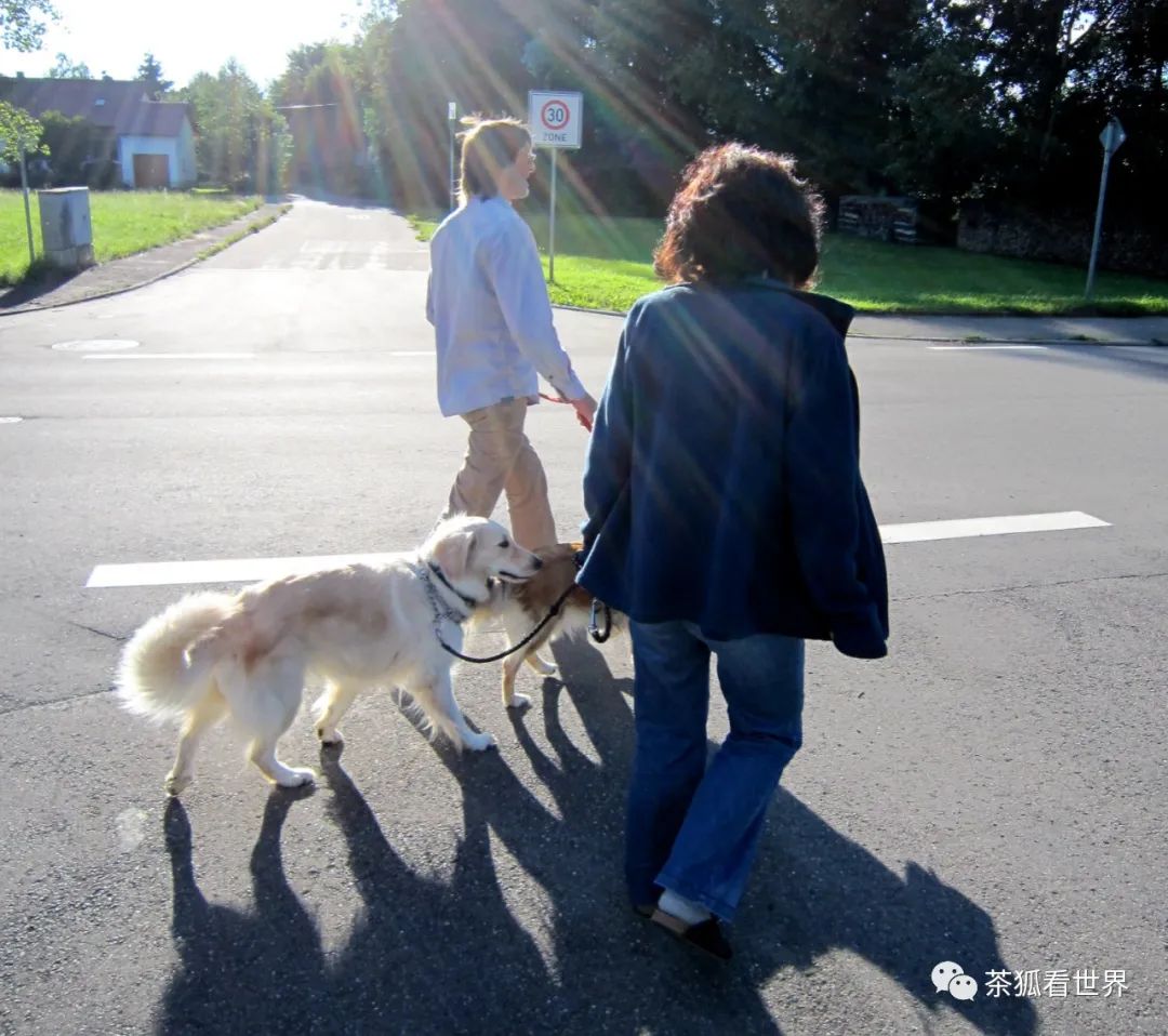 德国模式是什么,德国模式好不好
