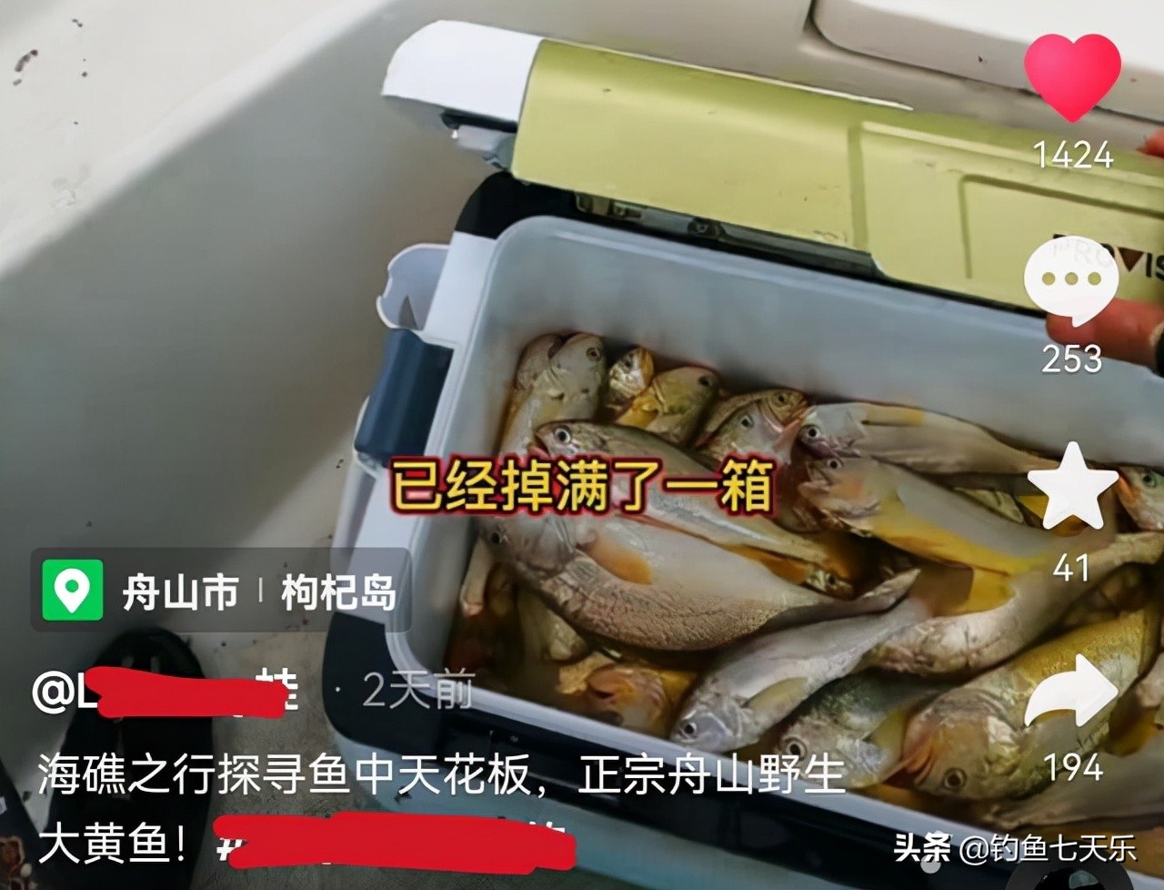 海钓珍稀百斤大黄鱼长度一米七,海钓小皮艇钓26公斤大黄鱼