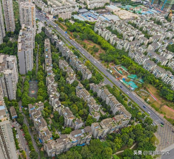 提前一年落户能读桂雅路小学吗,提前一年落户的学校