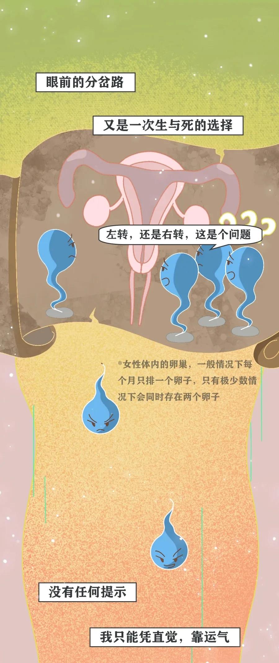 精子进入人体12小时变化,精子着床后身体变化