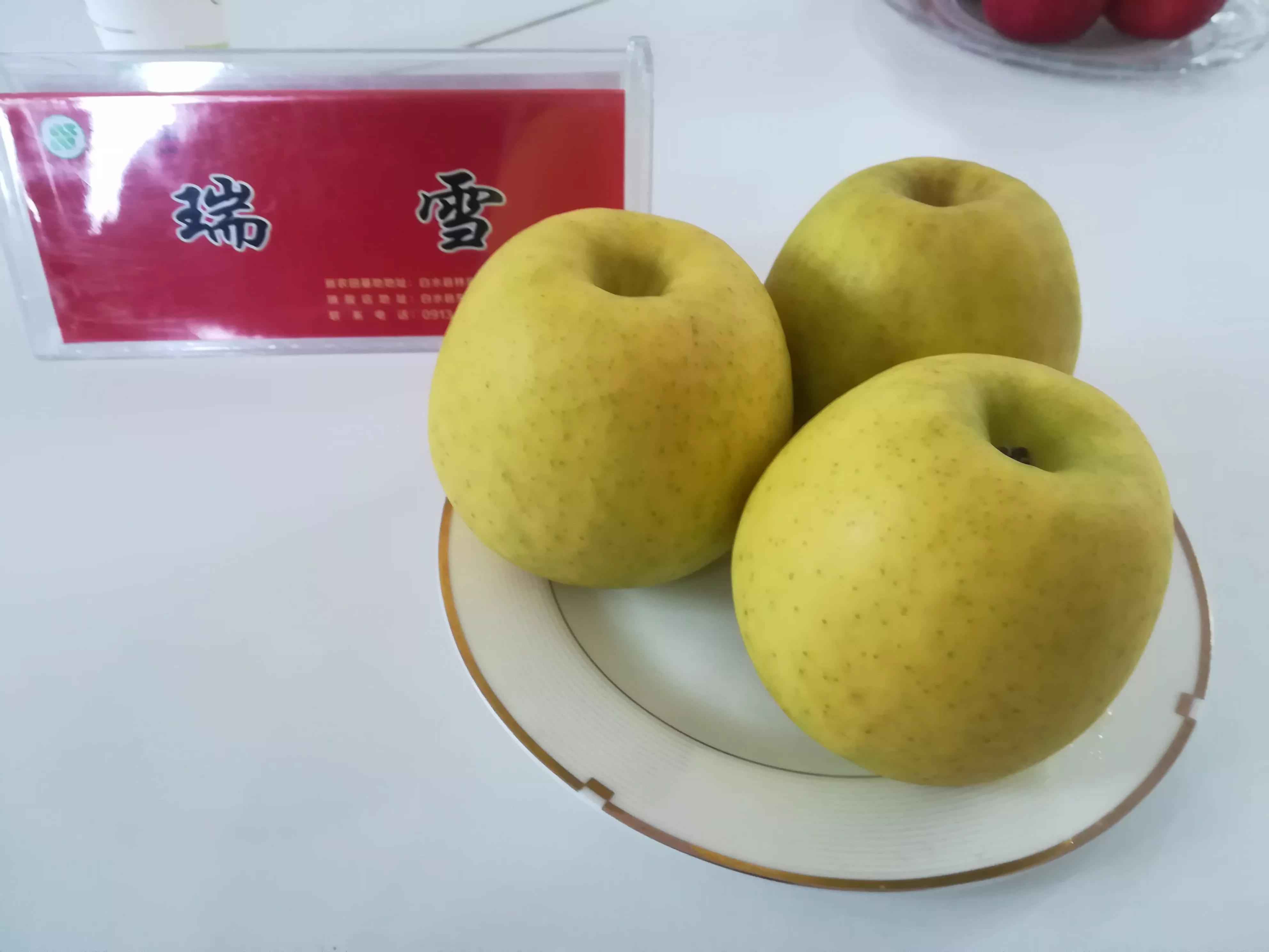 白水舌尖之美味