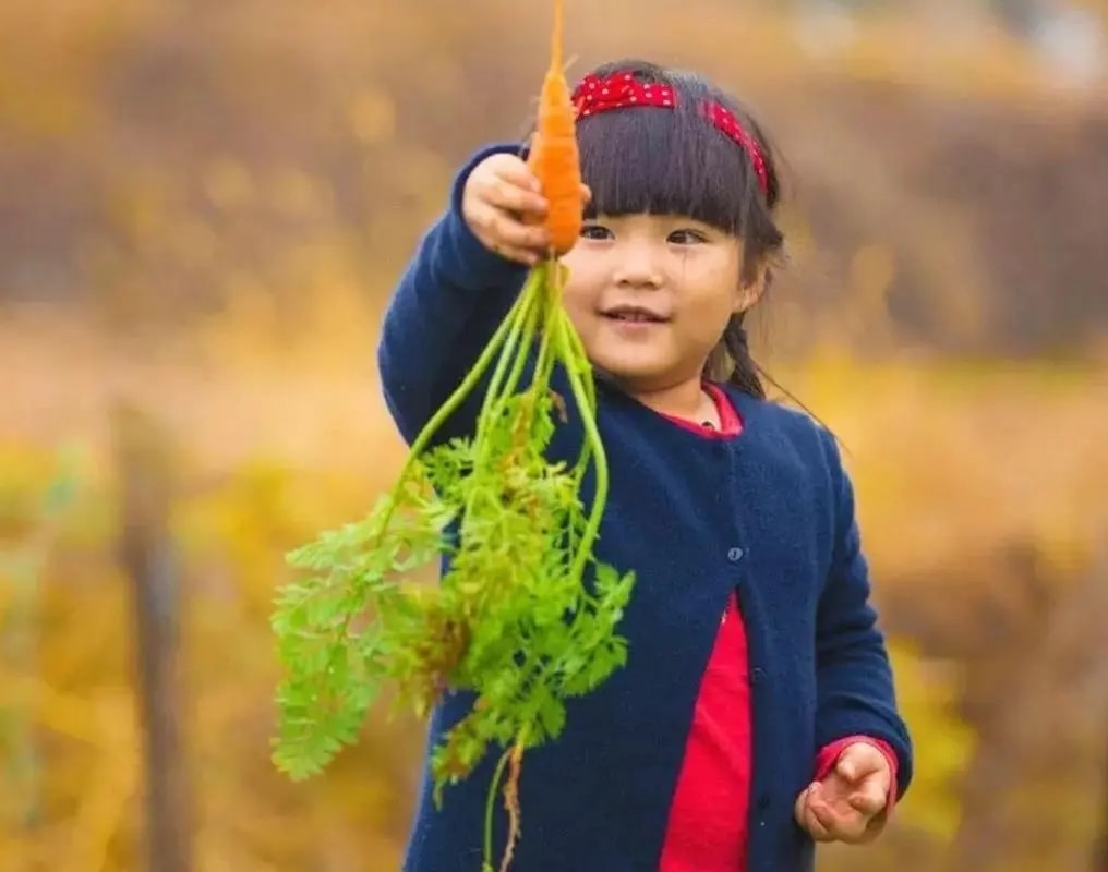 星二代吸毒现状,明星们吸毒前后对比