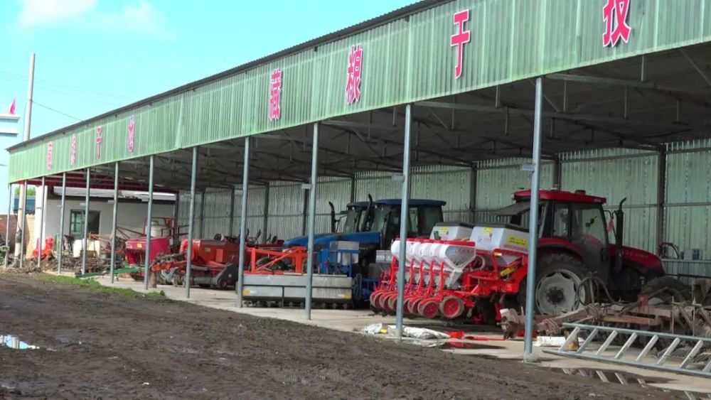 辛巴辛有志助农视频,辛巴辛有志助农回放