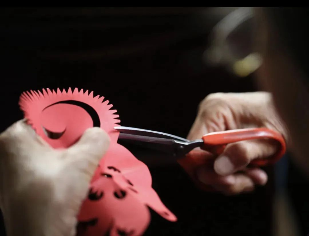 钱兔似锦大展鸿兔礼品盒,钱兔似锦大展宏兔的意思