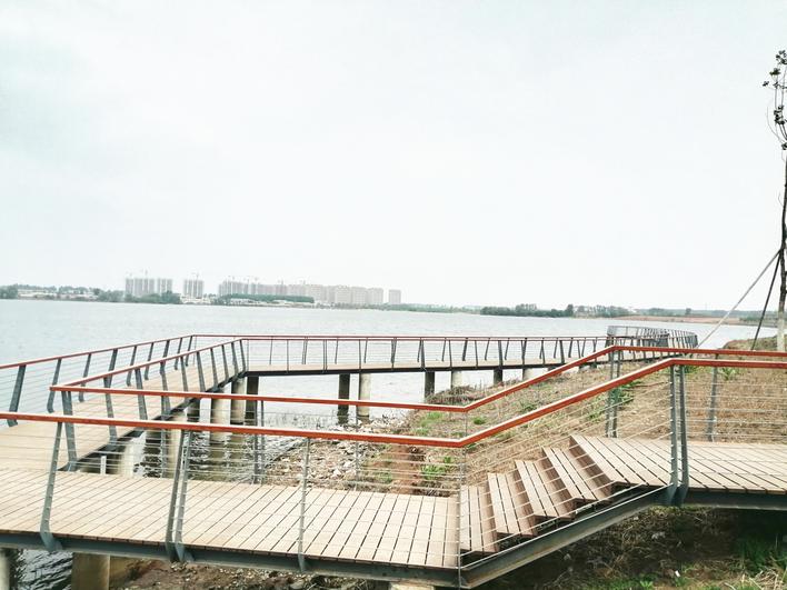 夜景西湖网红打卡地,网红打卡地金湖公园